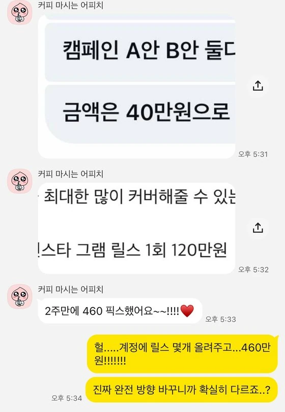 릴스로 부수입 460만원